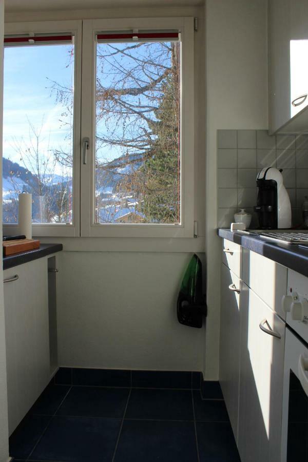 The Engstligen Lägenhet Adelboden Exteriör bild