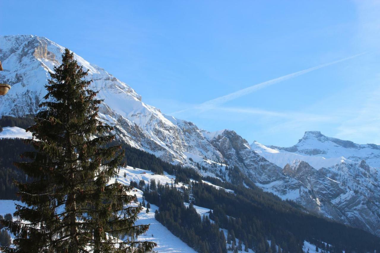 The Engstligen Lägenhet Adelboden Exteriör bild