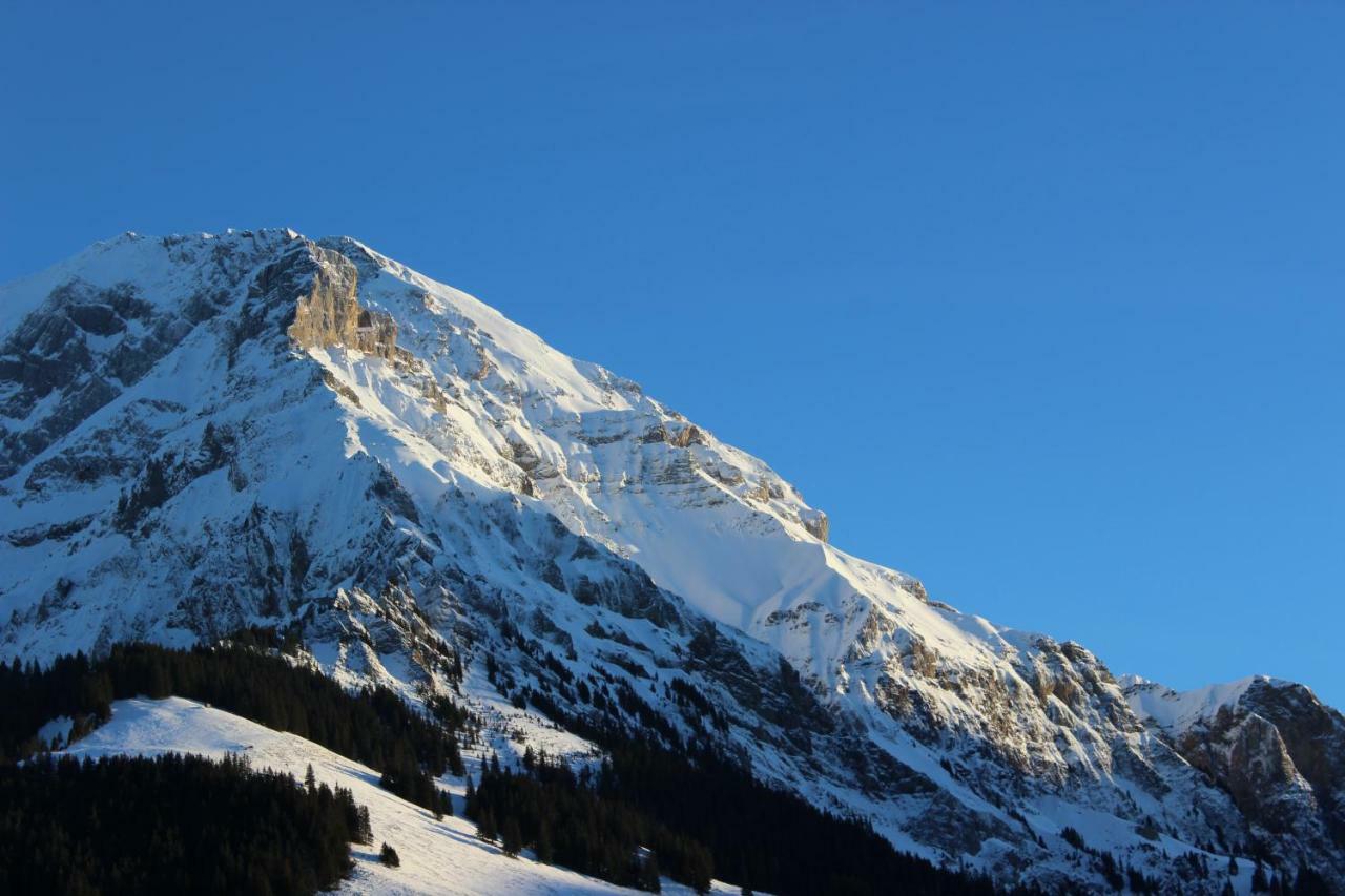 The Engstligen Lägenhet Adelboden Exteriör bild