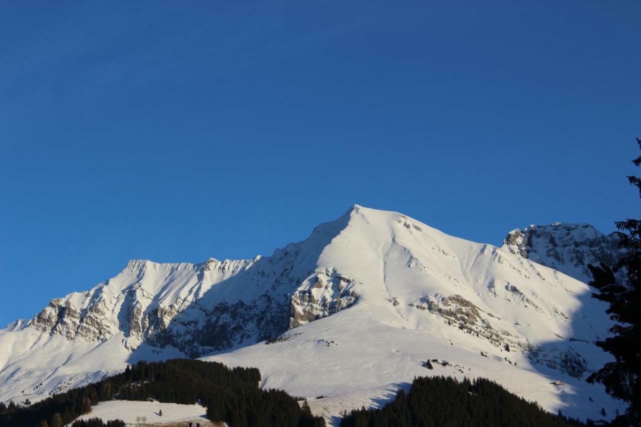 The Engstligen Lägenhet Adelboden Exteriör bild